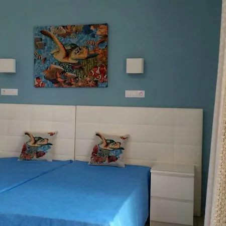 Irena Villa *